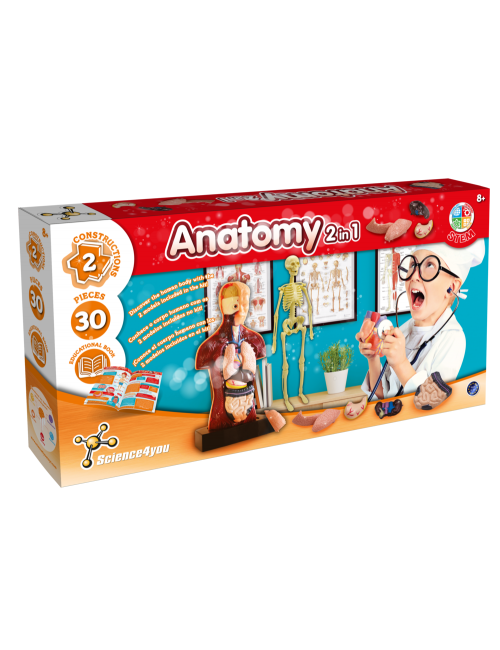 Anatomy 2 in 1