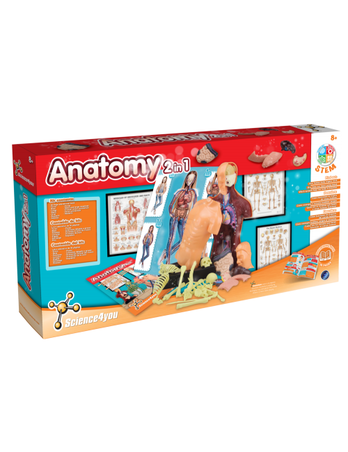 Anatomy 2 in 1