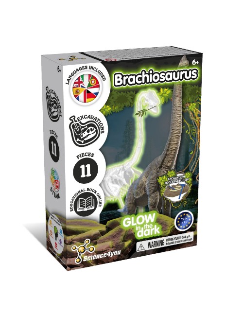 Glow-in-the-dark Fossil Excavations - Brachiosaurus