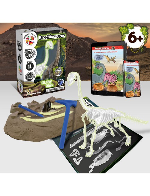 Glow-in-the-dark Fossil Excavations - Brachiosaurus