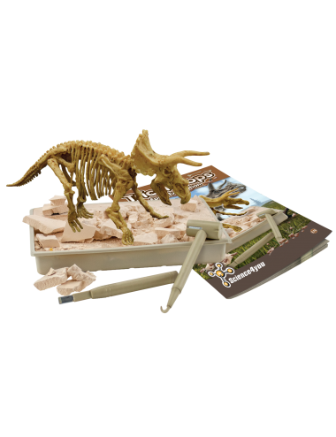 Science4you Fossil Excavation Triceratops Kit de Juguete Educativo de Ciencia 