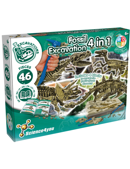 4 in 1 Fossil Excavations