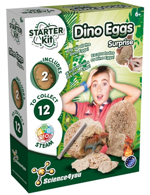 Starter Kit Dino Eggs