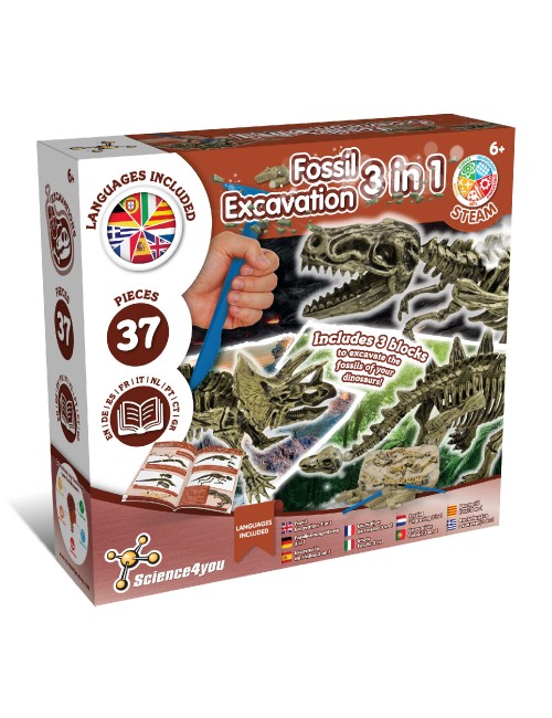 Fossil Excavation 3 in 1