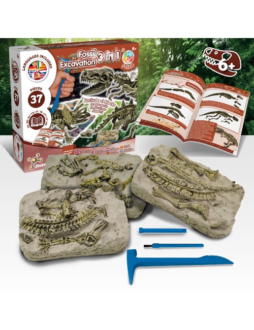 Fossil Excavation 3 in 1