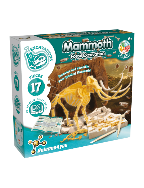 Fossil Diggings - Mammoth