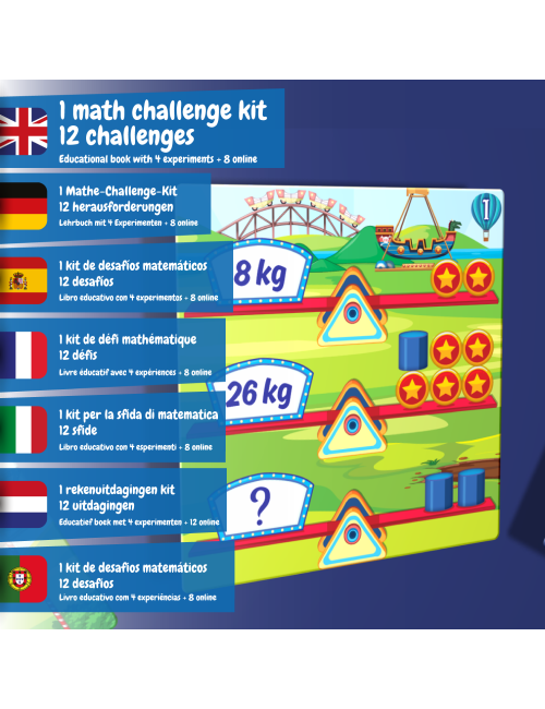 Maths Challenge - Amusement...