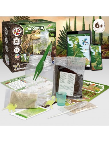 Kit de terrarium dinosaure pour enfants, jouets dinosaures, créez votre  propre mini jardin de dinosaures dans un bocal qui brille la nuit, kits  scientifiques, ensemble de jardinage pour enfants