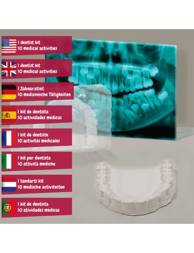 Jimtuze Jouets Dentiste | Dentiste Jouet avec Modèle Dents | Faire Semblant  Dentiste Jouets Jouer au Docteur Ensemble dévelop