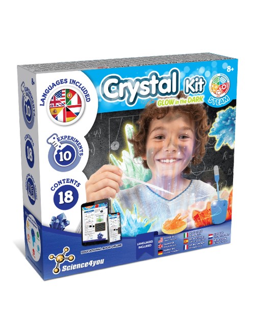 Enfants Kit de plantation de cristaux Expérience scientifique amusante  Ensemble de jouets éducatifs Croissance de cristaux lumineux Paquet  matériel fait à la main