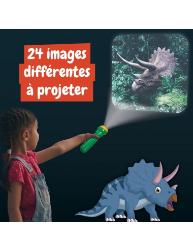 Lampe torche interactive pour projecteur de dinosaures : un - Temu France
