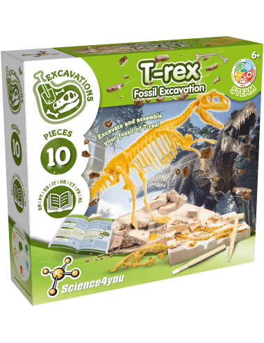 Dinosaur T-Rex - Kit de...