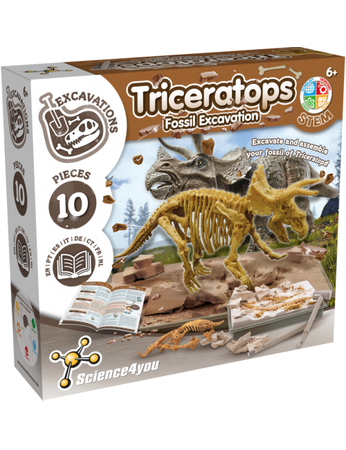 Triceratops - Kit de Fouille
