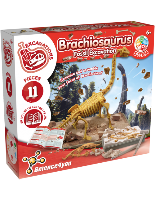 Brachiosaurus - Kit de Fouille