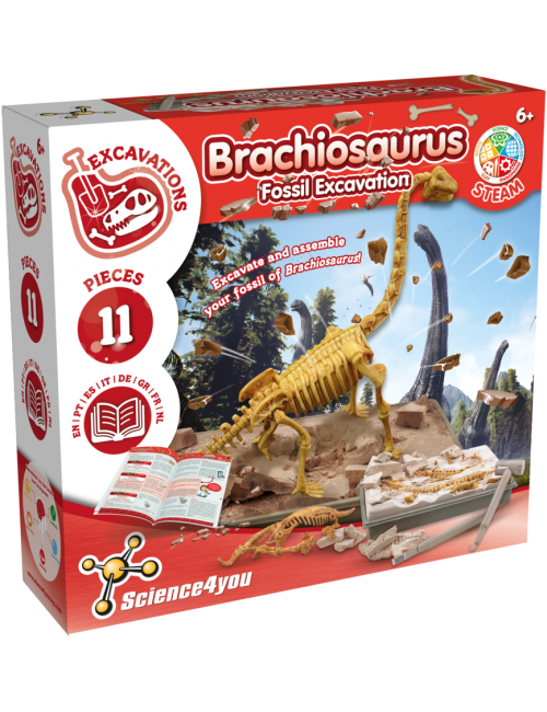 Jouets Dinosaures pour Enfants