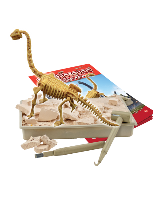 Brachiosaurus - Kit de Fouille