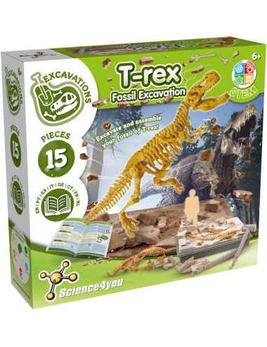 Dinosaur T-Rex - Kit de...