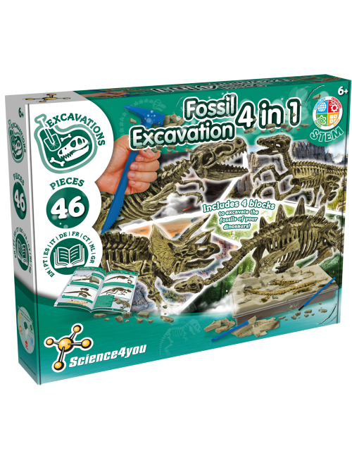 Excavations de fossiles 4 en 1