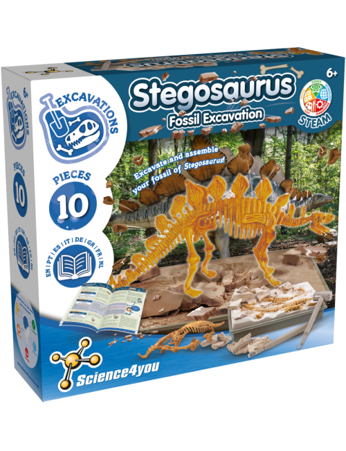 Stegosaurus - Fossil...