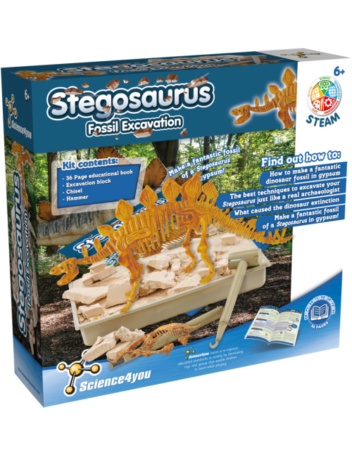 Stegosaurus - Fossil...