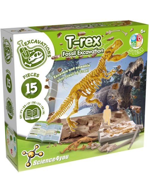 T-Rex - Fossil Excavation