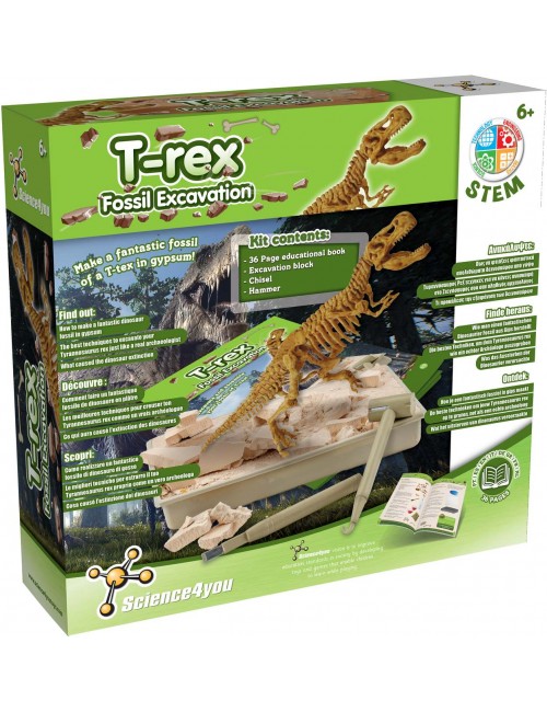 Fossil Excavation T-Rex