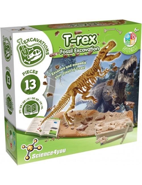 Fossil Excavation T-Rex